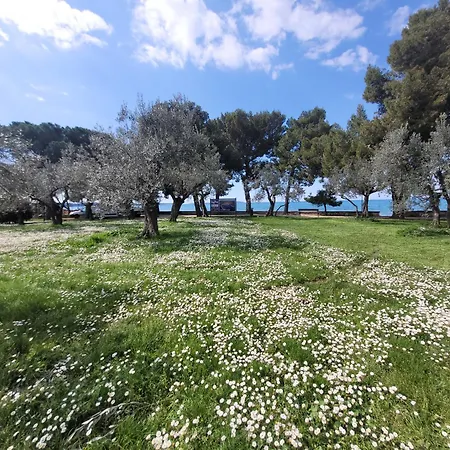 Mit Pool Kroatien Mit Meerblick Und Pool Lovran