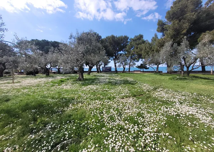 Mit Pool Kroatien Mit Meerblick Und Pool Lovran